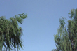 /images/art/133650728619.jpg